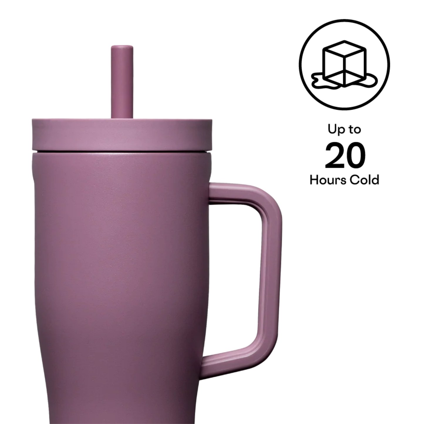 22oz LEAKPROOF CRUISER MAUVE
