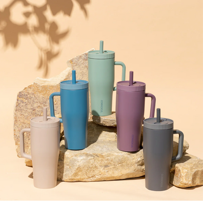 22oz LEAKPROOF CRUISER MAUVE